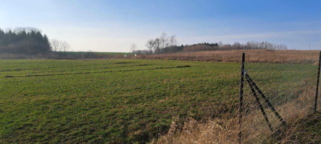 Działka budowlana Sędki. Zdjęcie 1