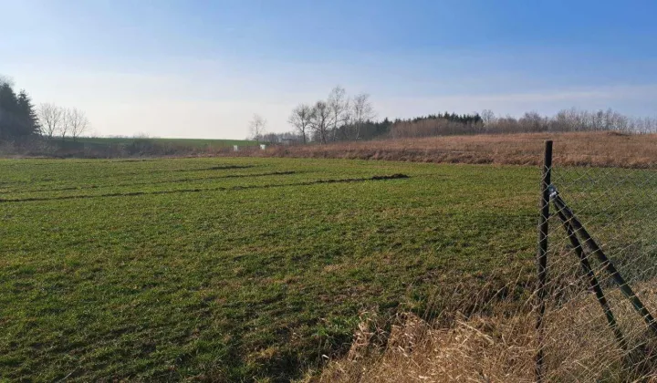 Działka budowlana Sędki