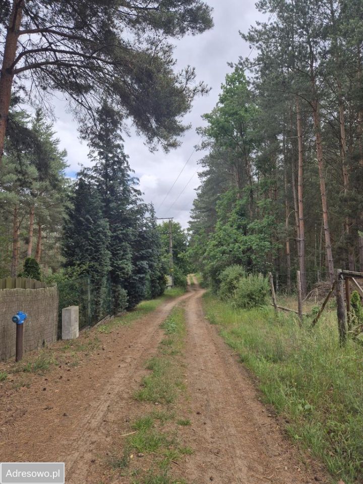 Działka rolno-budowlana Łężeczki. Zdjęcie 10