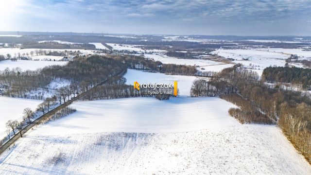 Działka rolna Mierzyno. Zdjęcie 5