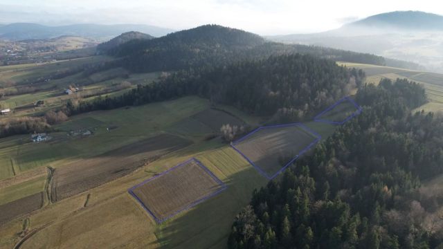 Działka rolna Gródek. Zdjęcie 1