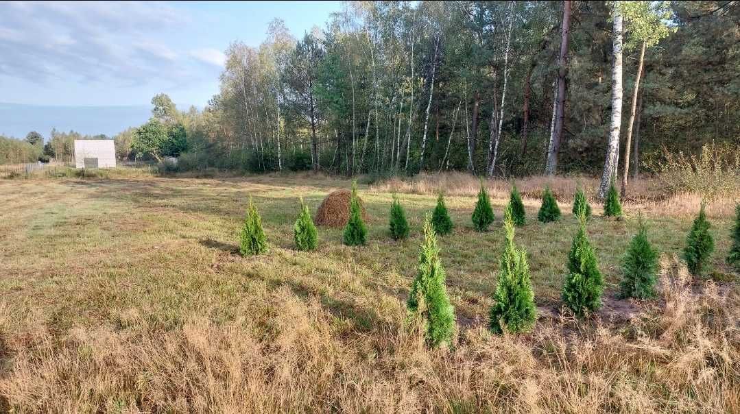 Działka budowlana Żebrówka. Zdjęcie 6
