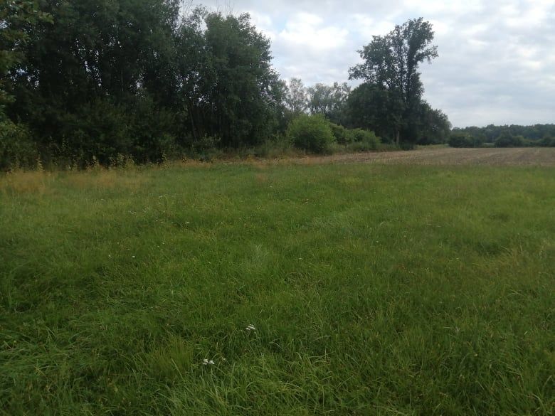 Działka budowlana Pomocnia. Zdjęcie 6