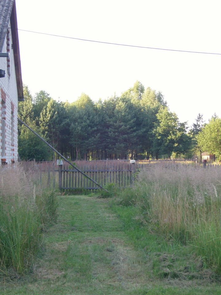 Działka inwestycyjna Kalenne. Zdjęcie 10