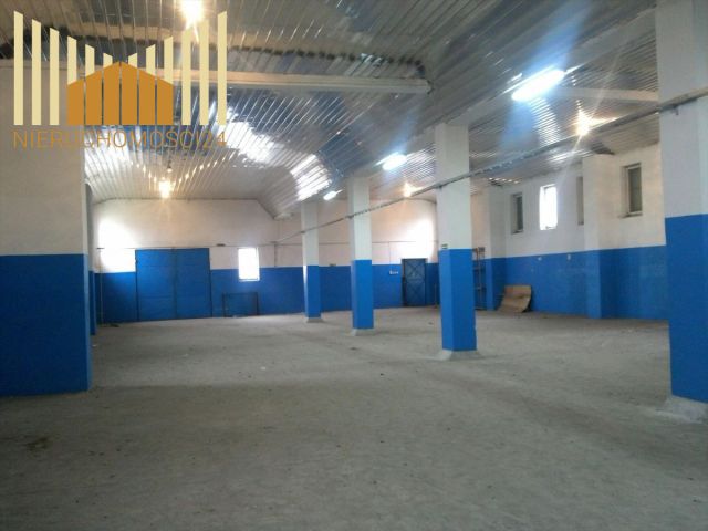 Lokal Duchnów Góry Warszawskie. Zdjęcie 3