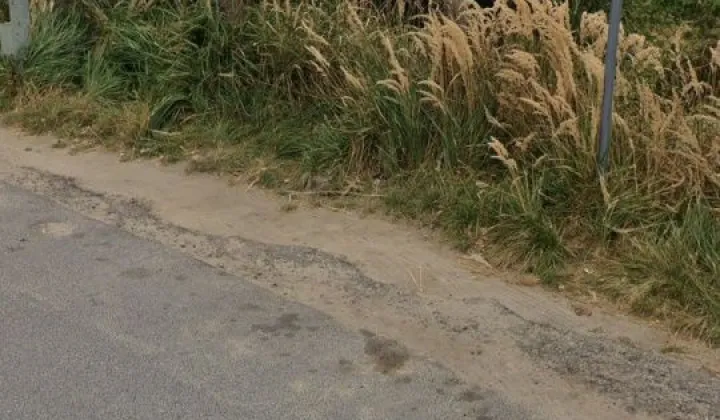 Nieruchomość komercyjna Wieleń, ul. Kościuszki