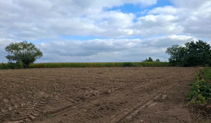 Działka rolno-budowlana Sobanice