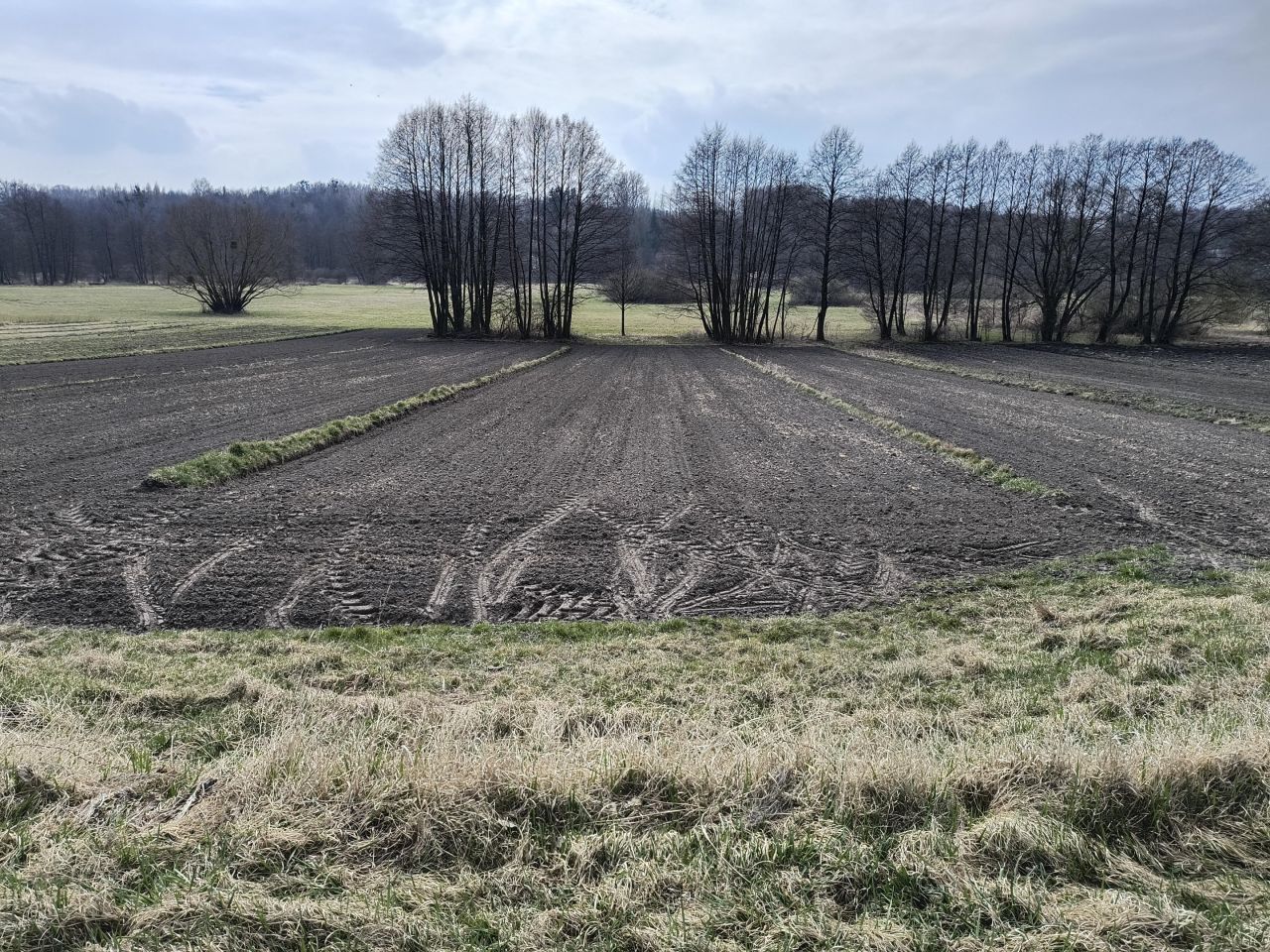 Działka budowlana Rogalów. Zdjęcie 8