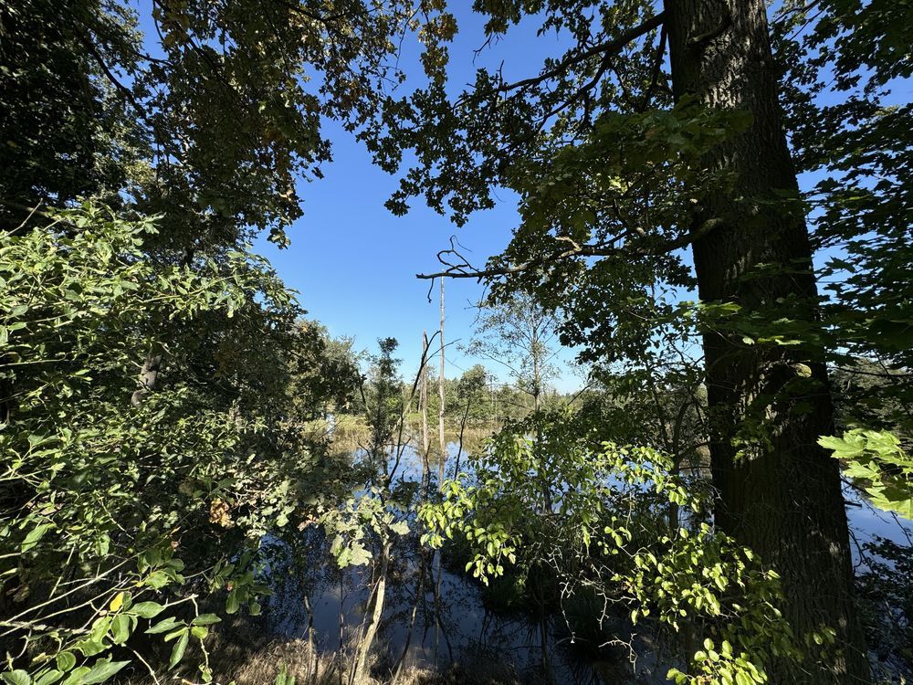 Działka budowlana Szprotawa. Zdjęcie 4