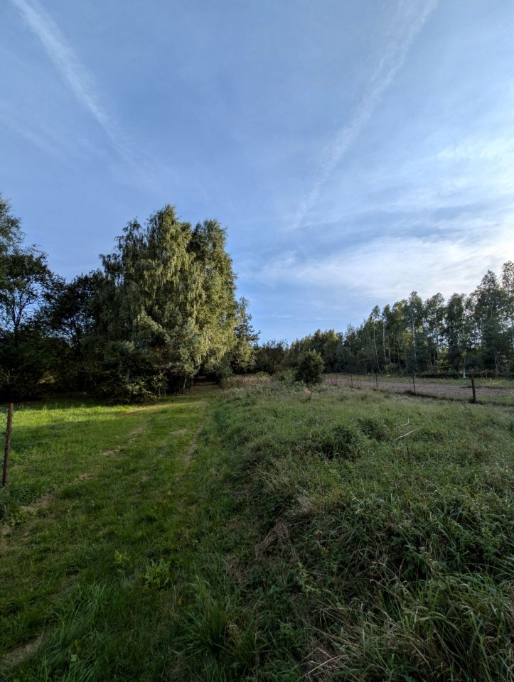 dom wolnostojący, 5 pokoi Srocko, ul. Częstochowska. Zdjęcie 14