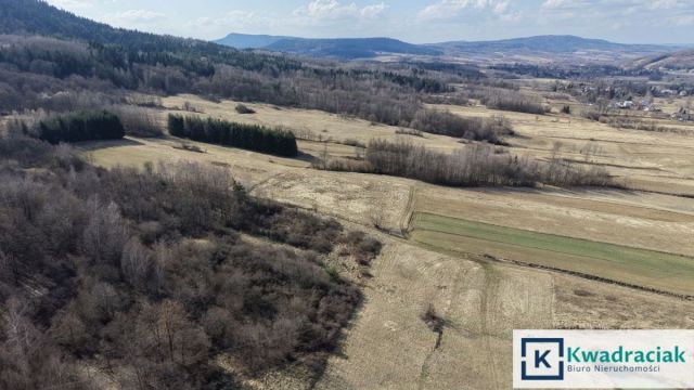 Działka rolna Lutcza. Zdjęcie 6