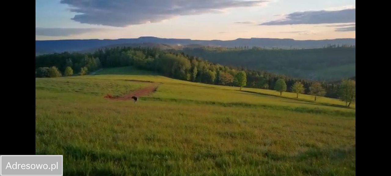 Działka budowlana Bieganów. Zdjęcie 2
