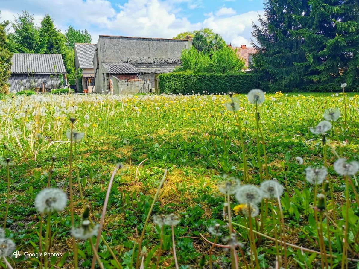 dom wolnostojący, 2 pokoje Dobrzyca, ul. Jarocińska. Zdjęcie 6