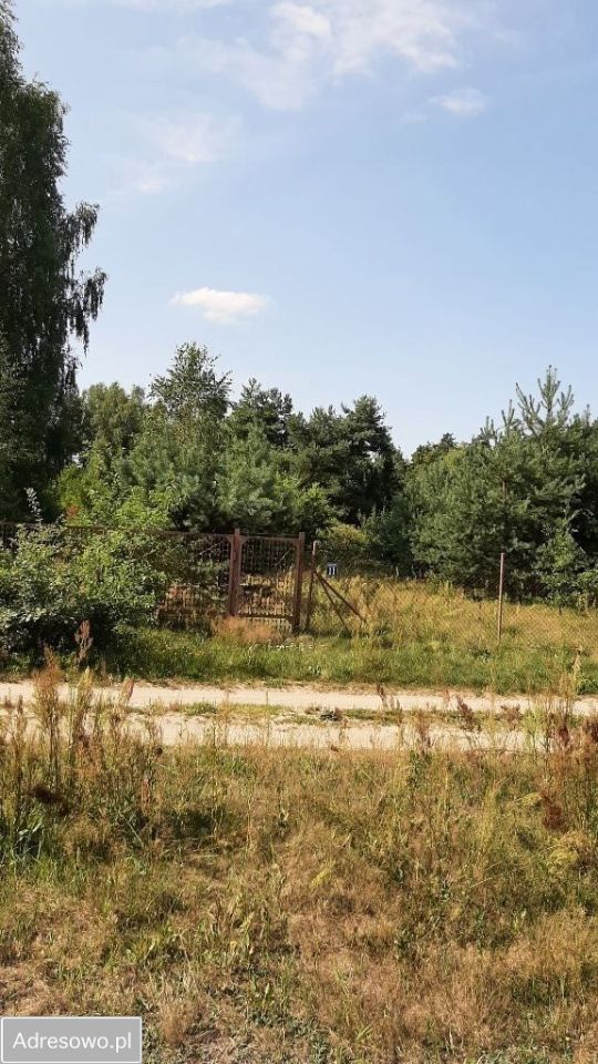 Działka budowlana Ludowinka, ul. Akacjowa. Zdjęcie 9