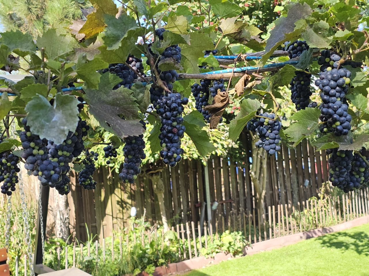 dom wolnostojący, 5 pokoi Borowa Góra, ul. Kameralna. Zdjęcie 17