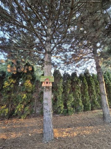 dom wolnostojący, 5 pokoi Grodzisk Mazowiecki, ul. M. Konopnickiej. Zdjęcie 7