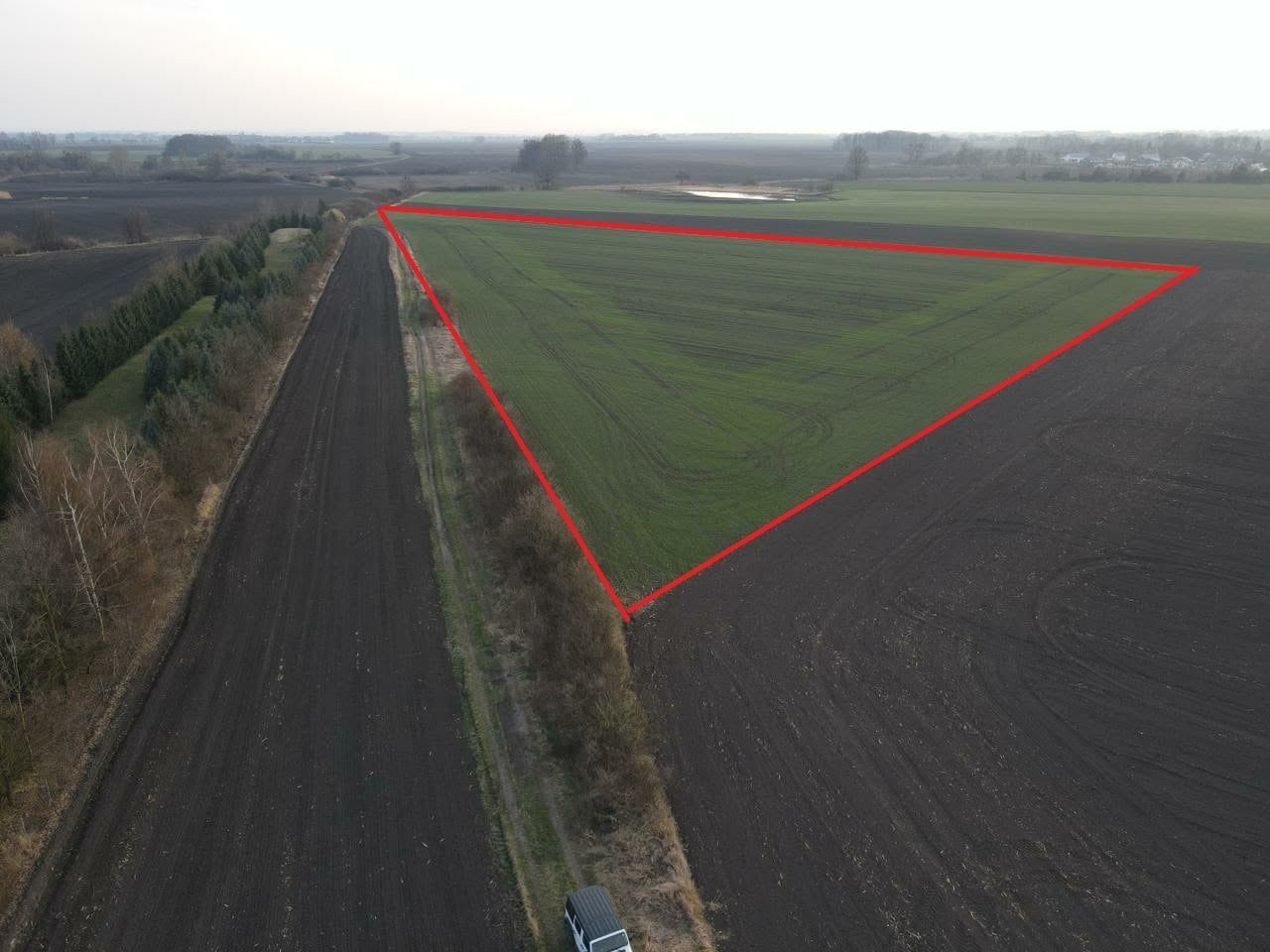 Działka rolna Pełczyce. Zdjęcie 2