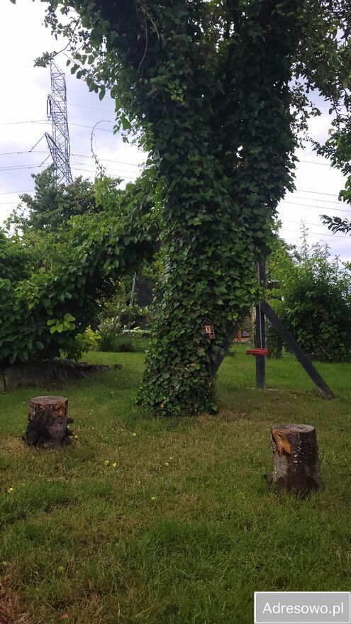 Działka rod Kraków Wzgórza Krzesławickie, ul. Sybiraków. Zdjęcie 6