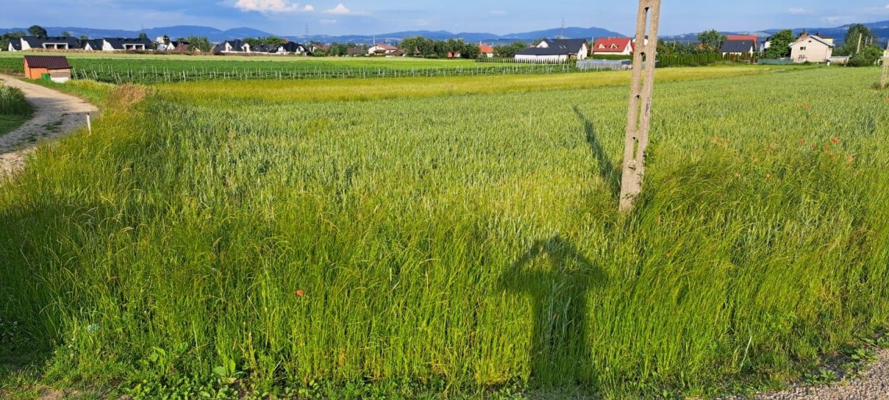 Działka budowlana Gostwica. Zdjęcie 3