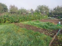 Działka rod Słupsk. Zdjęcie 4