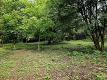 Działka budowlana Radomsko, ul. Parkowa