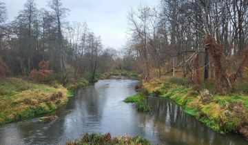 Działka rekreacyjna Wola Młocka