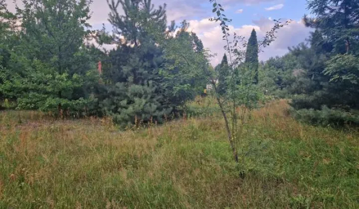 Działka budowlana Czarnów, ul. Piaskowa