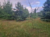 Działka budowlana Czarnów, ul. Piaskowa