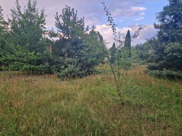 Działka budowlana Czarnów, ul. Piaskowa