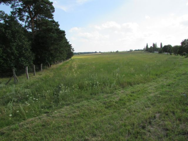 Działka inwestycyjna Nowogród Bobrzański. Zdjęcie 3