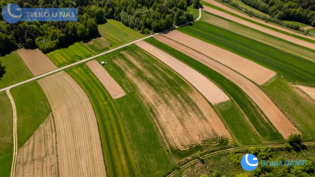 Działka Lipnica Dolna. Zdjęcie 6