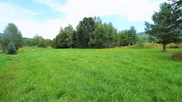 Działka budowlana Męcina Wielka. Zdjęcie 4