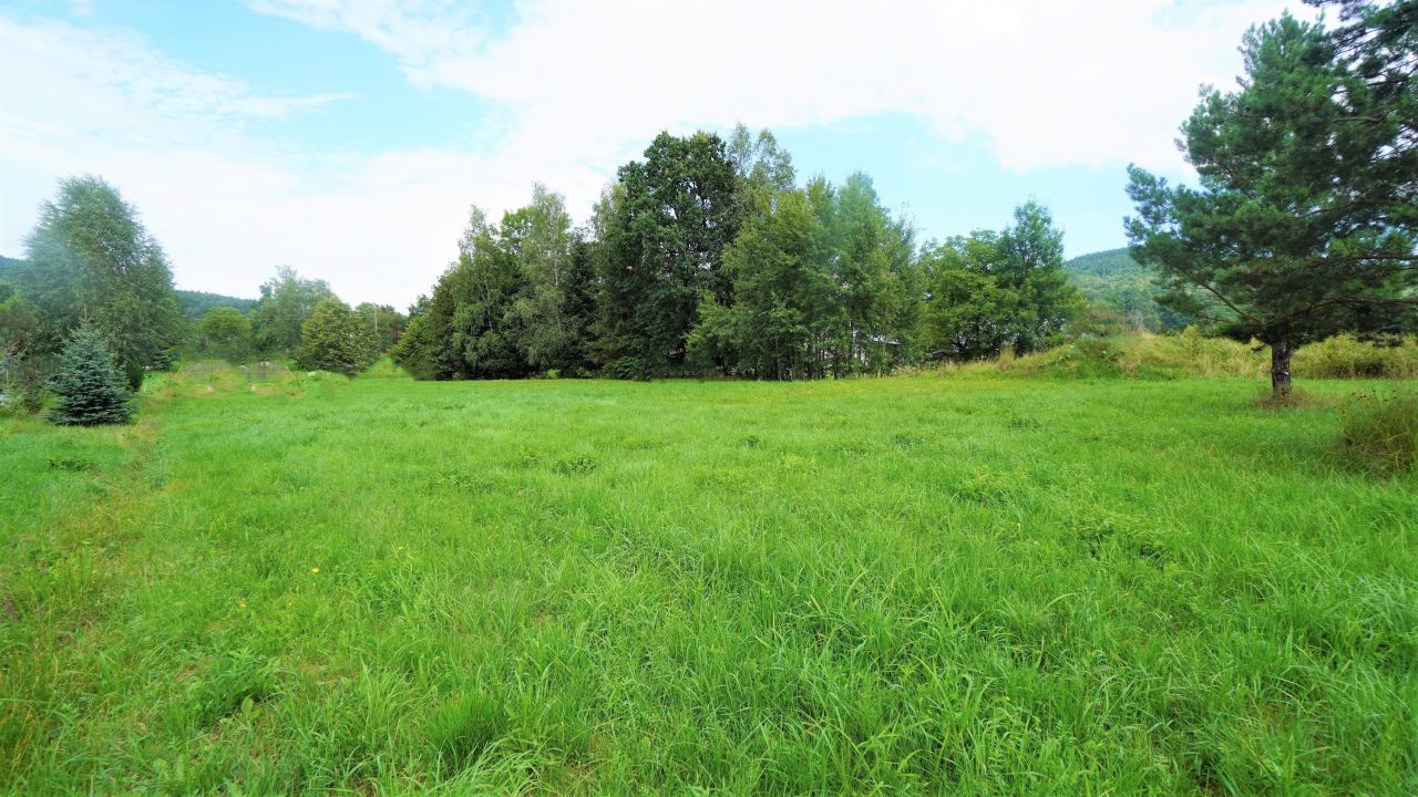 Działka budowlana Męcina Wielka. Zdjęcie 4