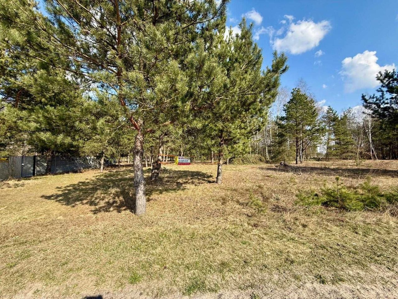 Działka budowlana Nowy Cydzyn. Zdjęcie 5