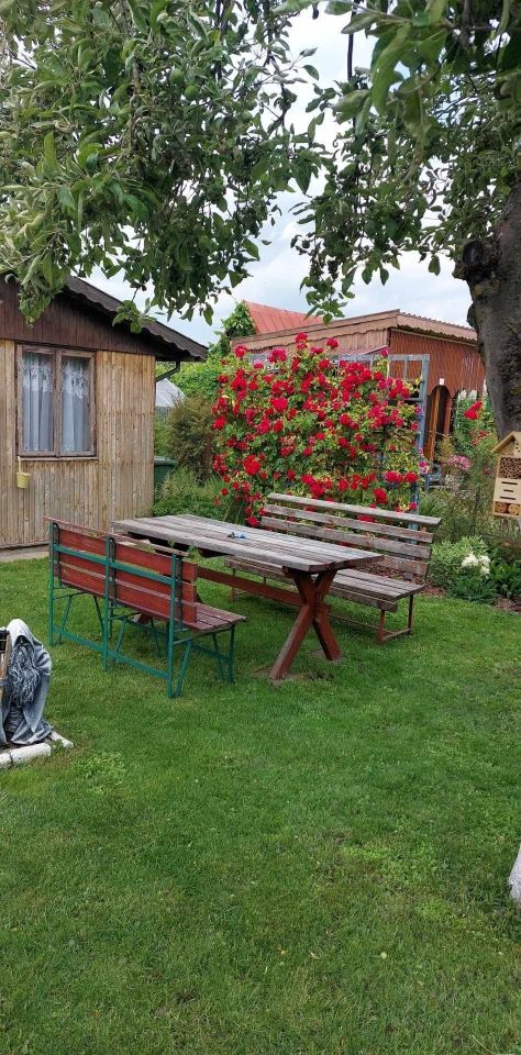 Działka rod Giżycko. Zdjęcie 6