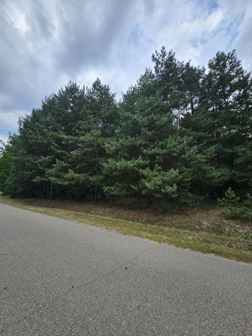 Działka rolna Strugi Krzywickie. Zdjęcie 1