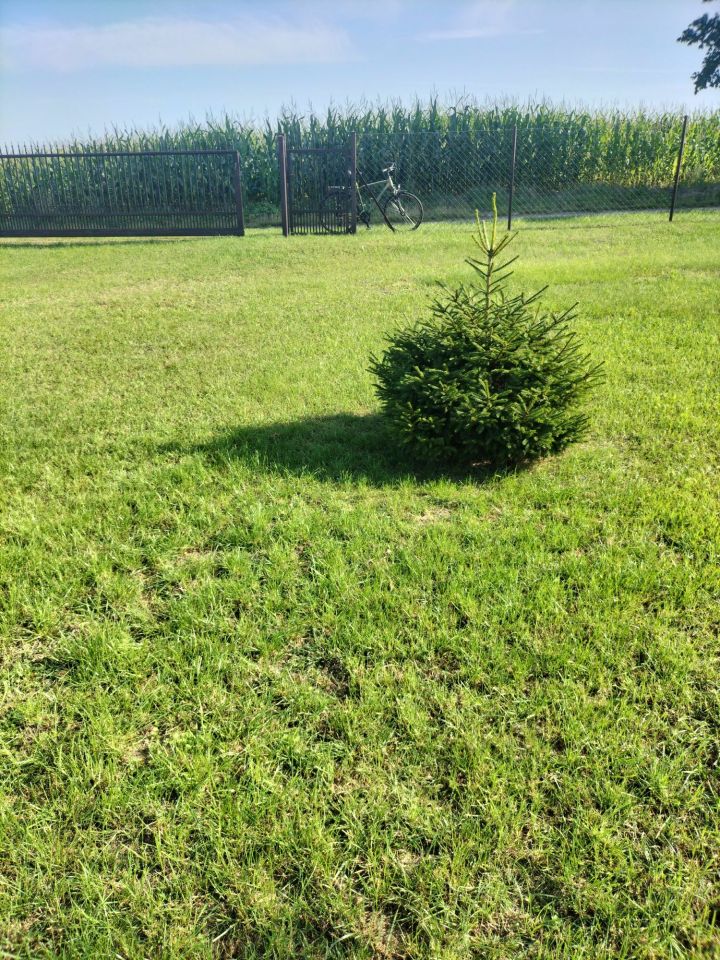 Działka rolna Żarnowo