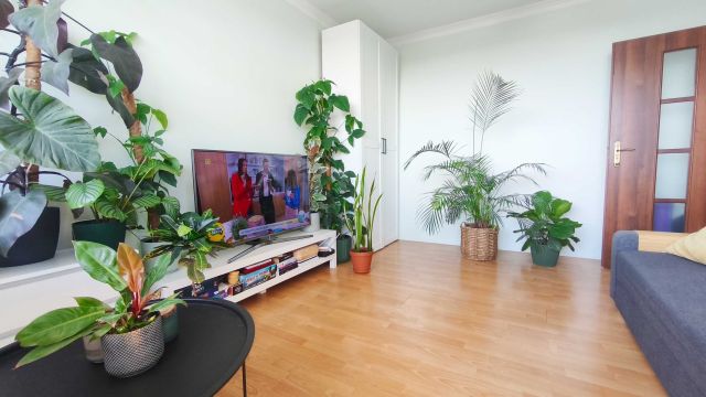 Mieszkanie 2-pokojowe Kołobrzeg Centrum. Zdjęcie 1