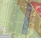 Działka rolno-budowlana Lgota Błotna. Zdjęcie 1