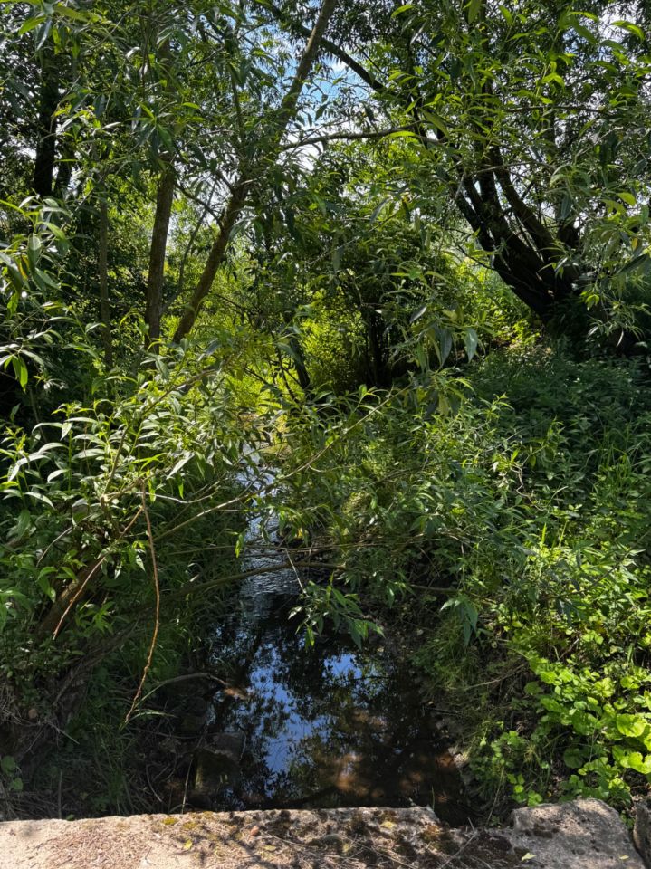 Działka rolna Kraków Nowa Huta. Zdjęcie 5