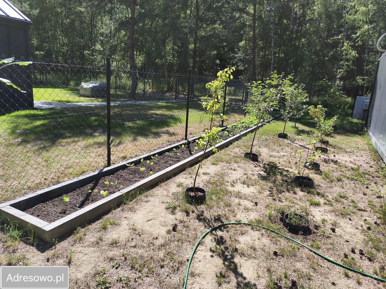 Działka rekreacyjna Ostrowy nad Okszą, ul. Michała Wołodyjowskiego. Zdjęcie 16