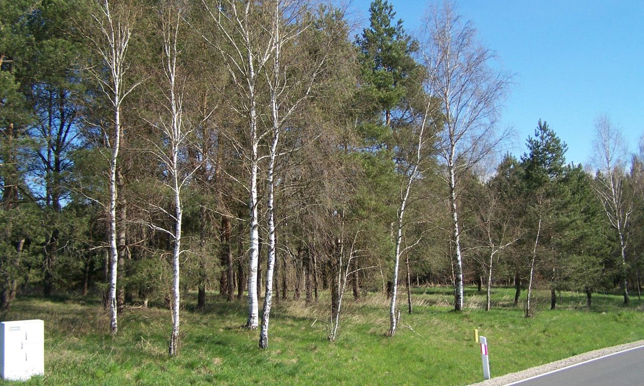 dom wolnostojący, 3 pokoje Adamowo. Zdjęcie 11