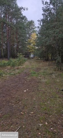 Działka inna Kiciny. Zdjęcie 1