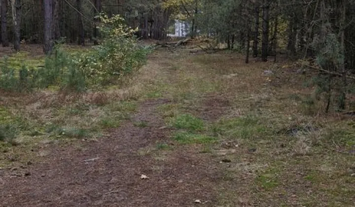 Działka inna Kiciny