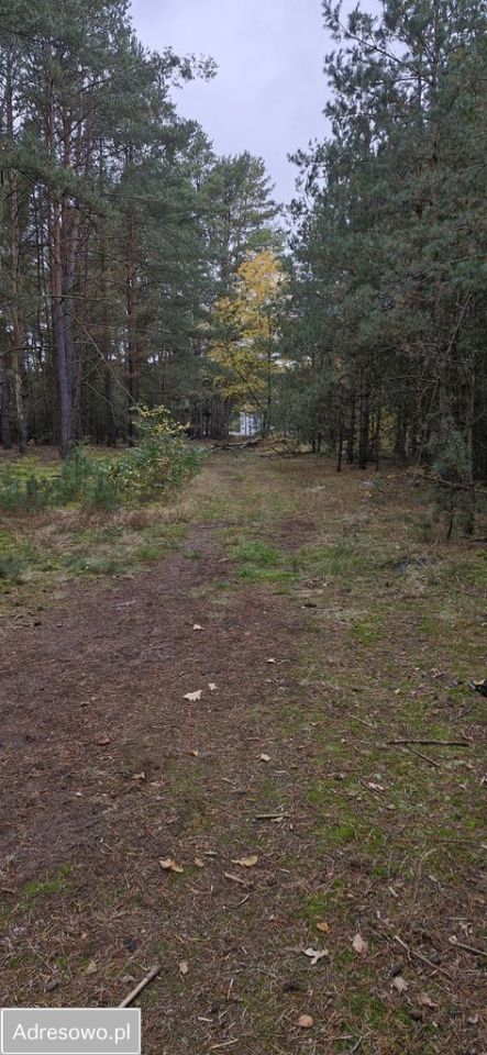Działka inna Kiciny