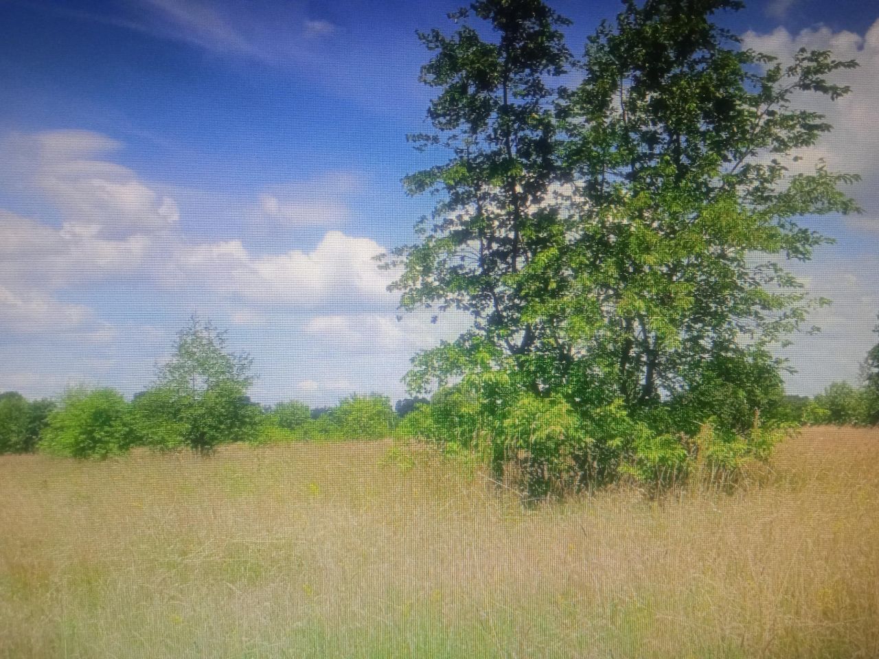 Działka budowlana Słubica Dobra, ul. Zajęcza