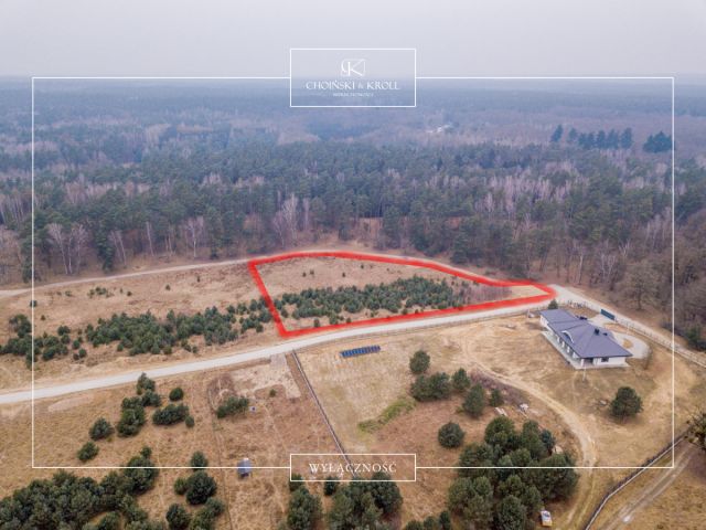 Działka budowlana Dębogóra. Zdjęcie 1