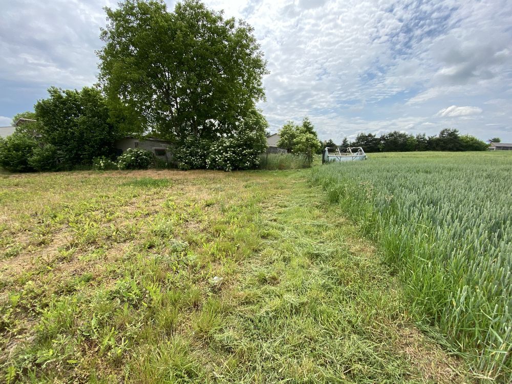 Działka budowlana Sobianowice. Zdjęcie 5