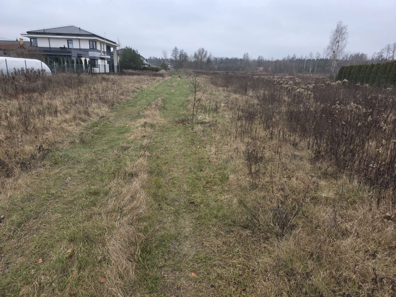 Działka budowlana Izabelin-Dziekanówek, ul. Lasek Brzozowy. Zdjęcie 2