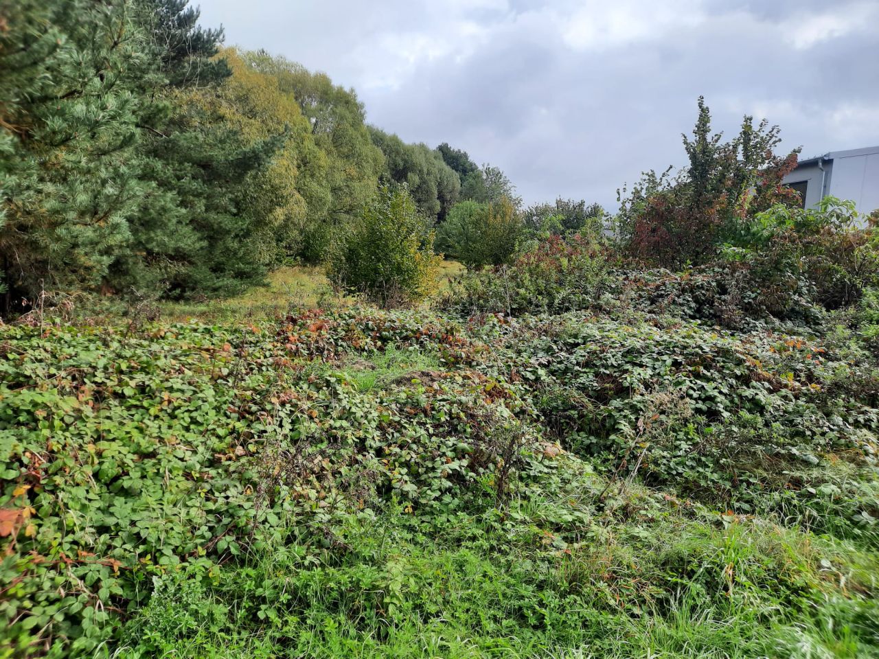 Działka budowlana Potaśnia, ul. Gruszowa. Zdjęcie 2